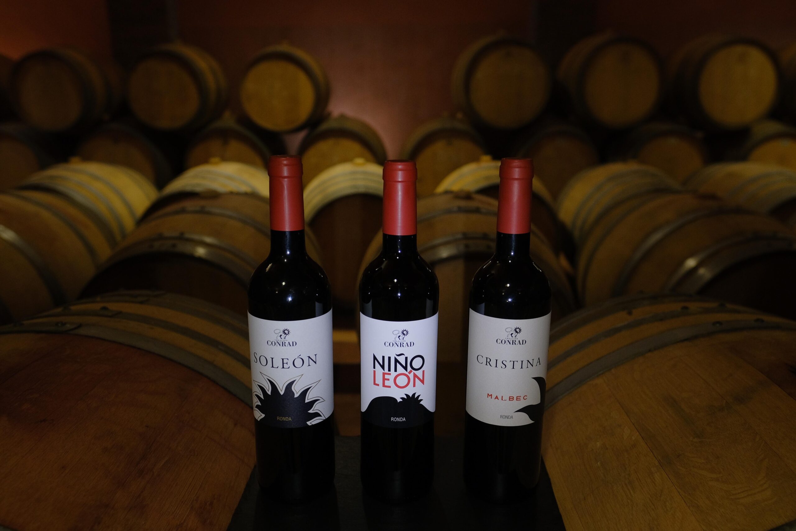 Soleón, Niño León y Cristina son los tres vinos de la bodega.