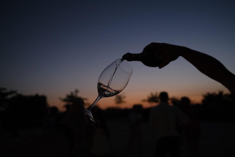 La degustación de vinos se mantienen durante toda la actividad.