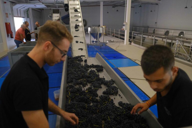 Nuevas instalaciones de la bodega Doña Felisa.