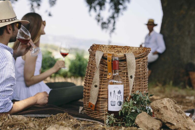 Picnic en mitad del viñedo bajo una encina centenaria.